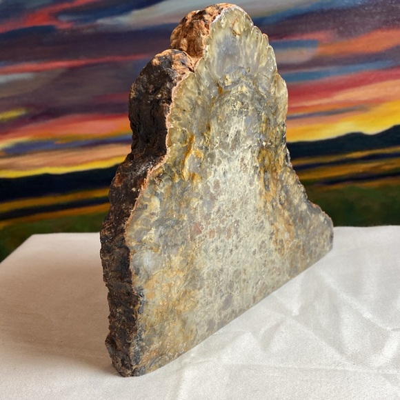 Dinosaur Coprolite Fossil - Picture 2 of 5